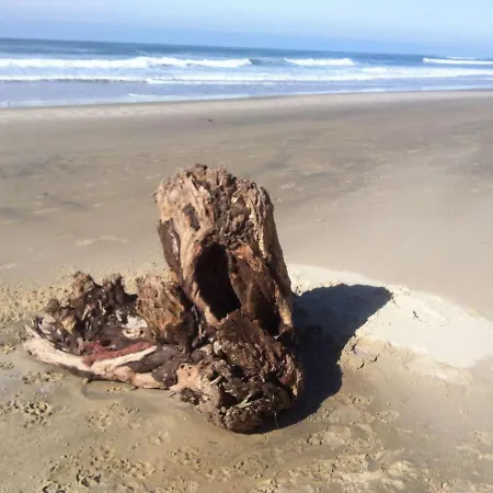 شقة Classe 2 Etoiles Proche Latecoere بيسكاروس