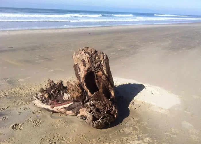 Appartamento Classé 2 étoiles Proche Latécoère Biscarrosse